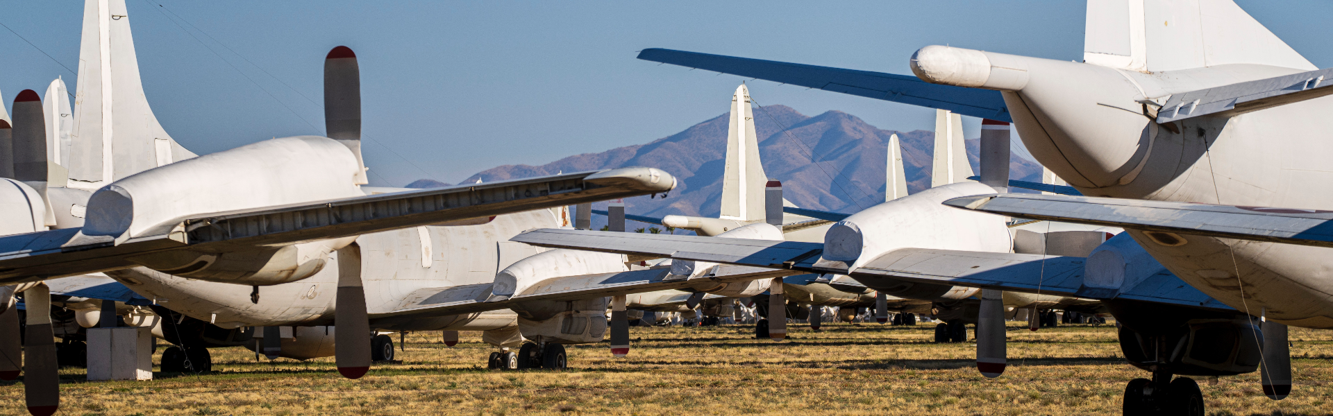 YABO.COM-鸭脖仪器